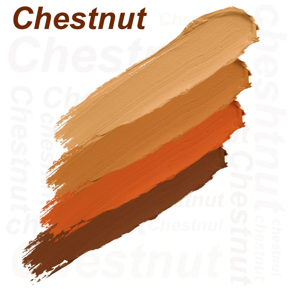 4 Color Concealer