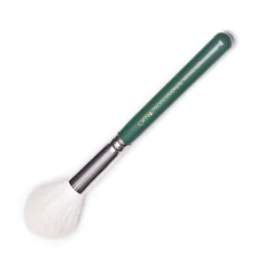 Brush #22 - Blush Brush