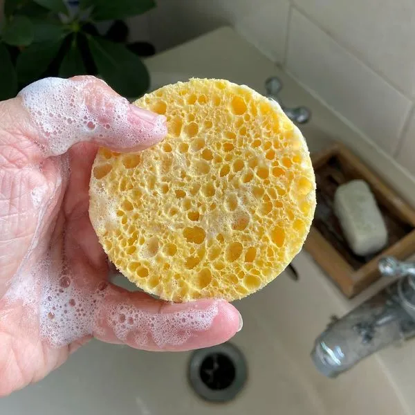 Cellulose facial sponge