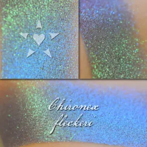 CHIRONEX  - chromatic Eyeshadow