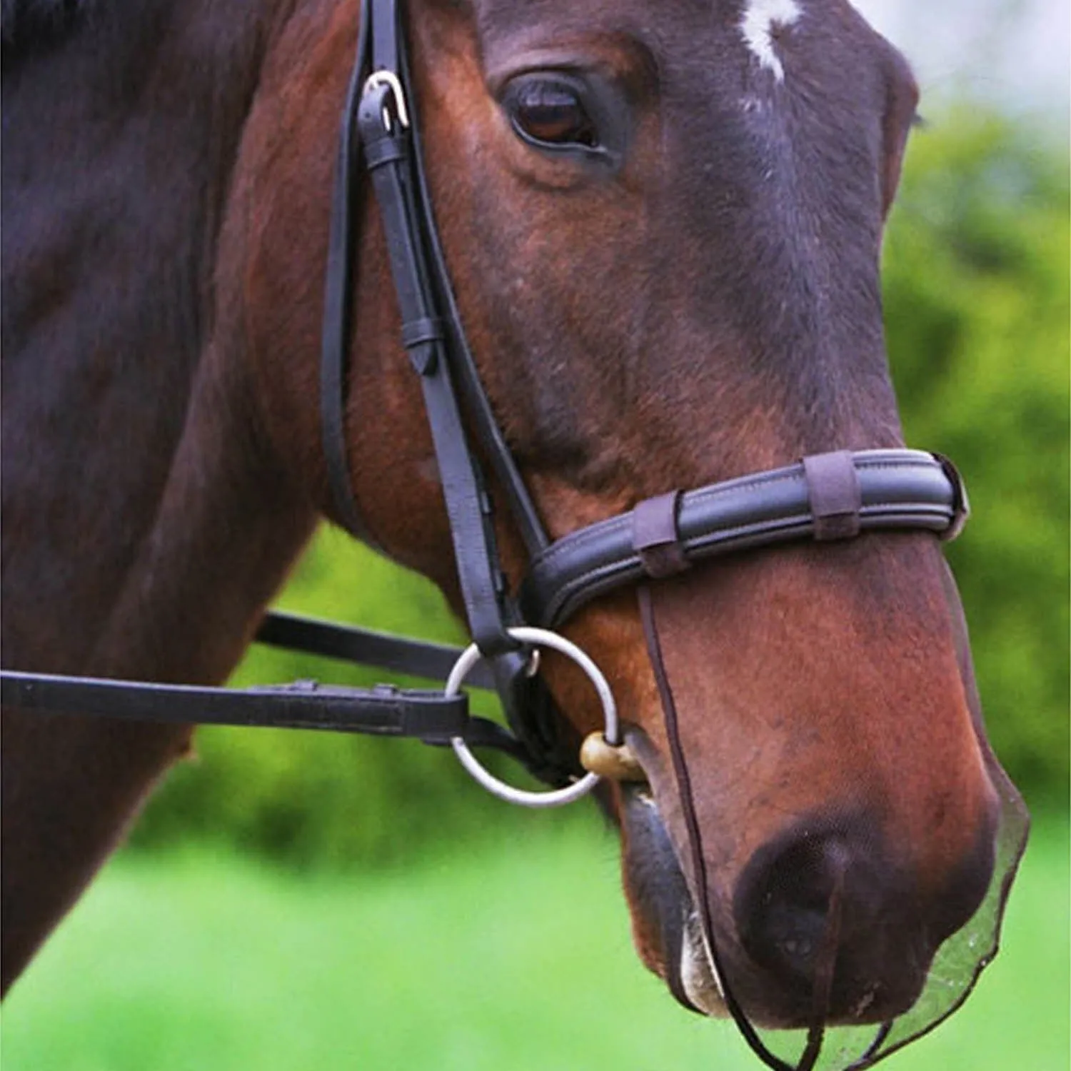 Equilibrium Net Relief Muzzle Net