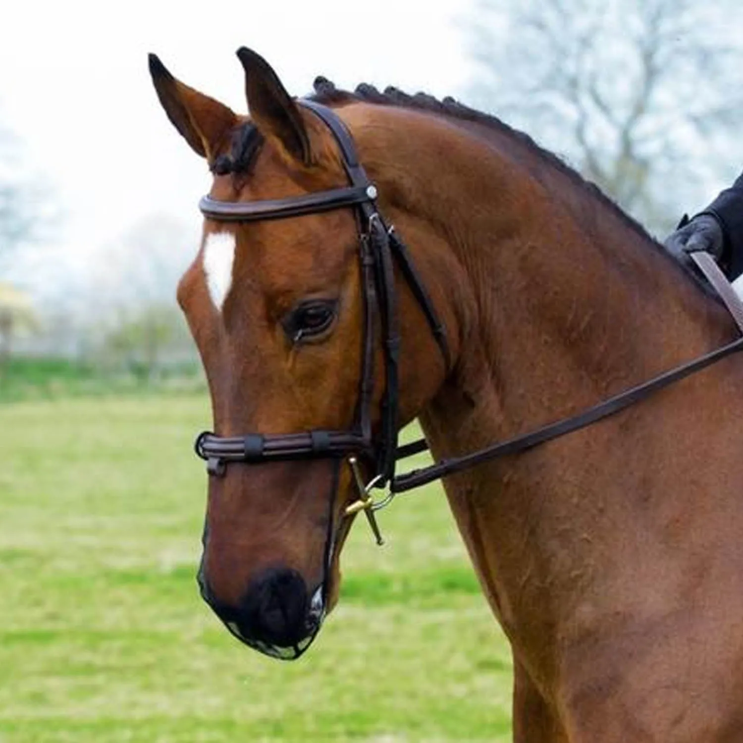 Equilibrium Net Relief Muzzle Net