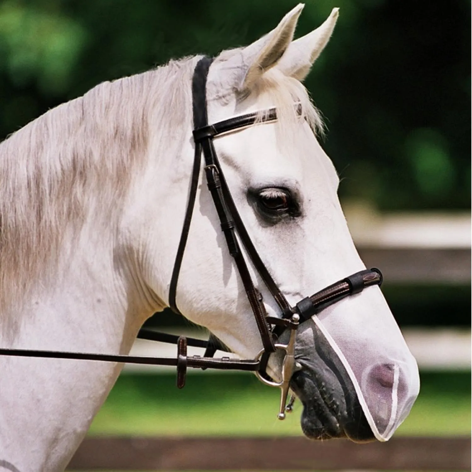 Equilibrium Net Relief Muzzle Net
