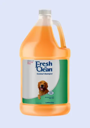 Fresh 'N Clean RTU Fresh Floral Scent - Gallon