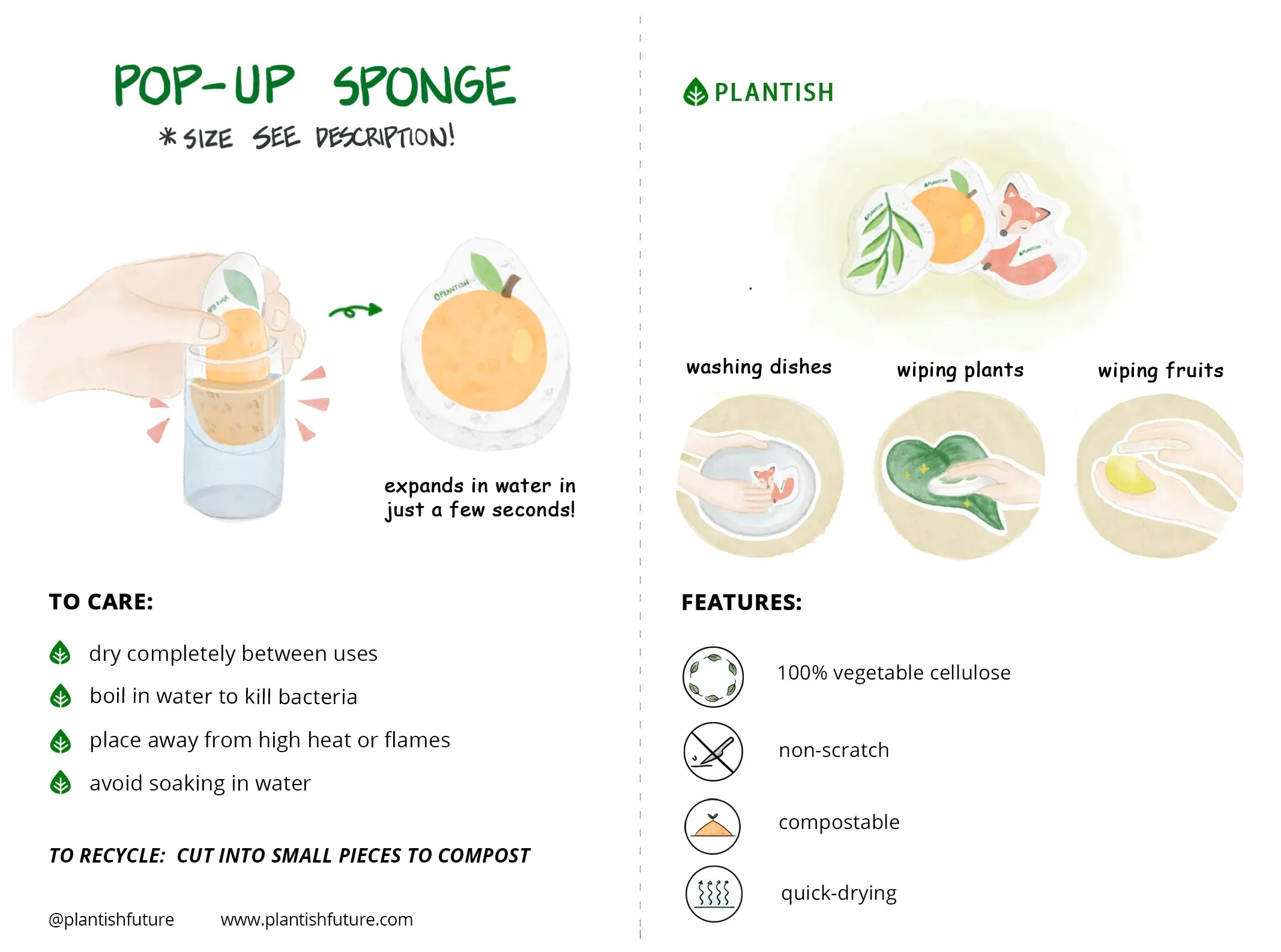 Frog and Toad - Pop-up Sponge