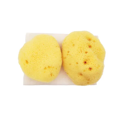 JADE & PEARL Sea Pearl Reusable Prolapse Sponge or Menstrual Sponge - XL   Firm (2 Pack)