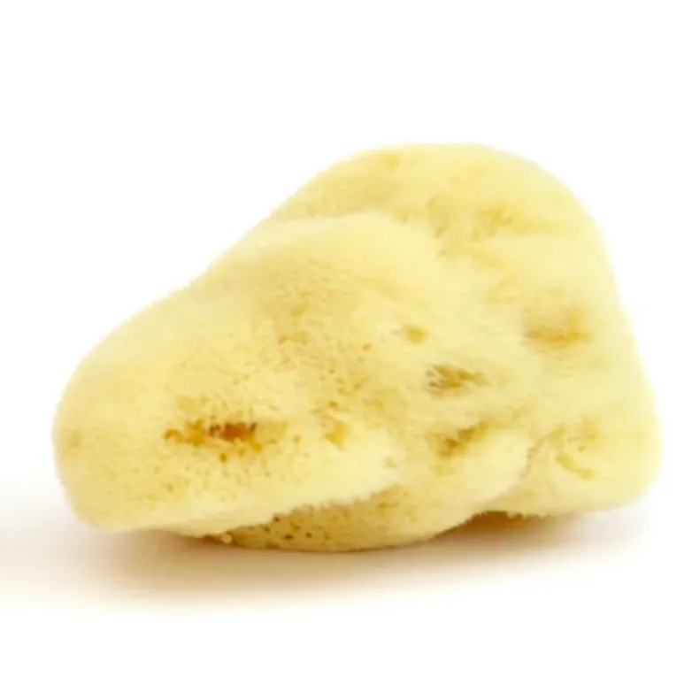 JADE & PEARL Sea Pearl Reusable Prolapse Sponge or Menstrual Sponge - XL   Firm (2 Pack)