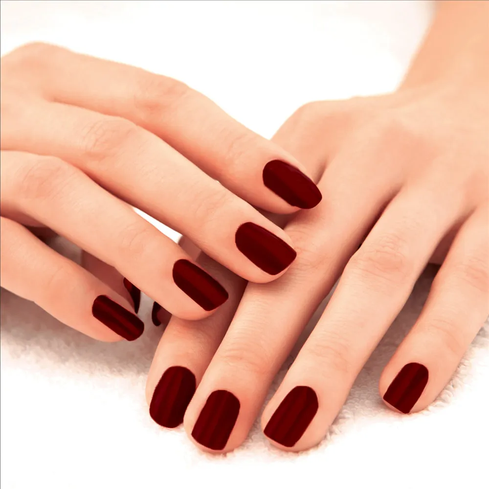 Lakmē 9 to 5 Primer   Gloss Nail Color