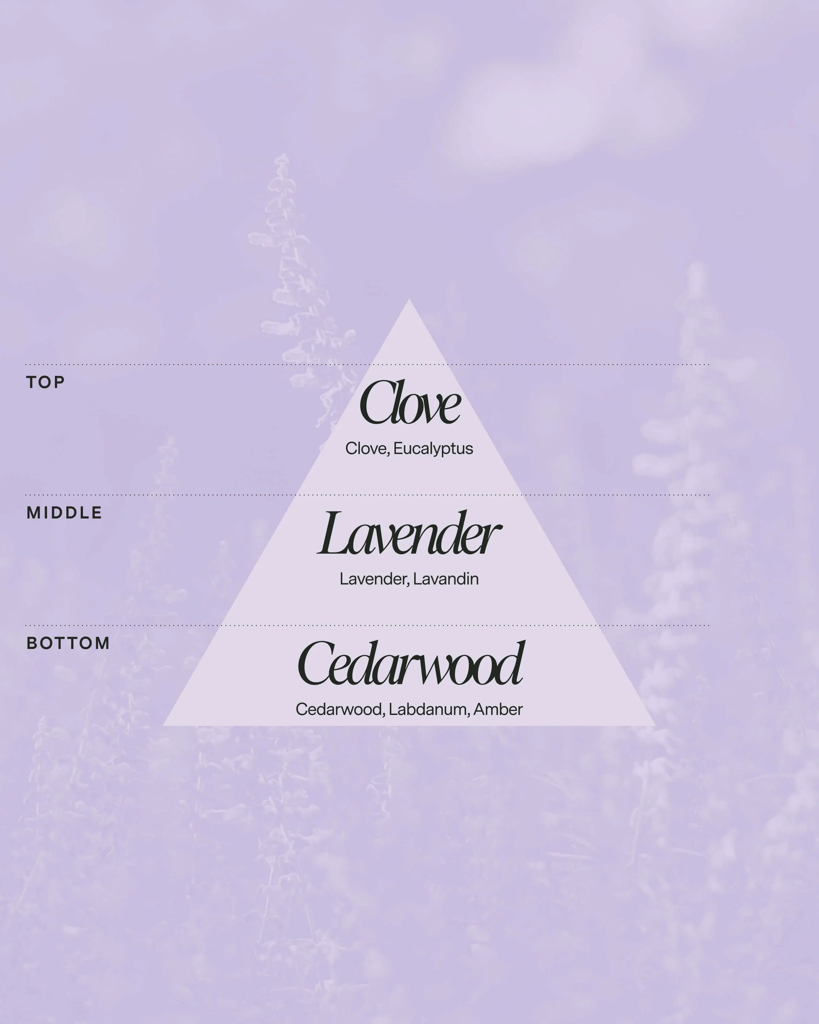 No 05 — Clove, Lavender, Cedarwood