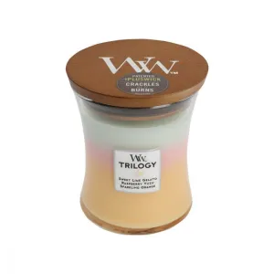Summer Sweets Trilogy Soy Candle