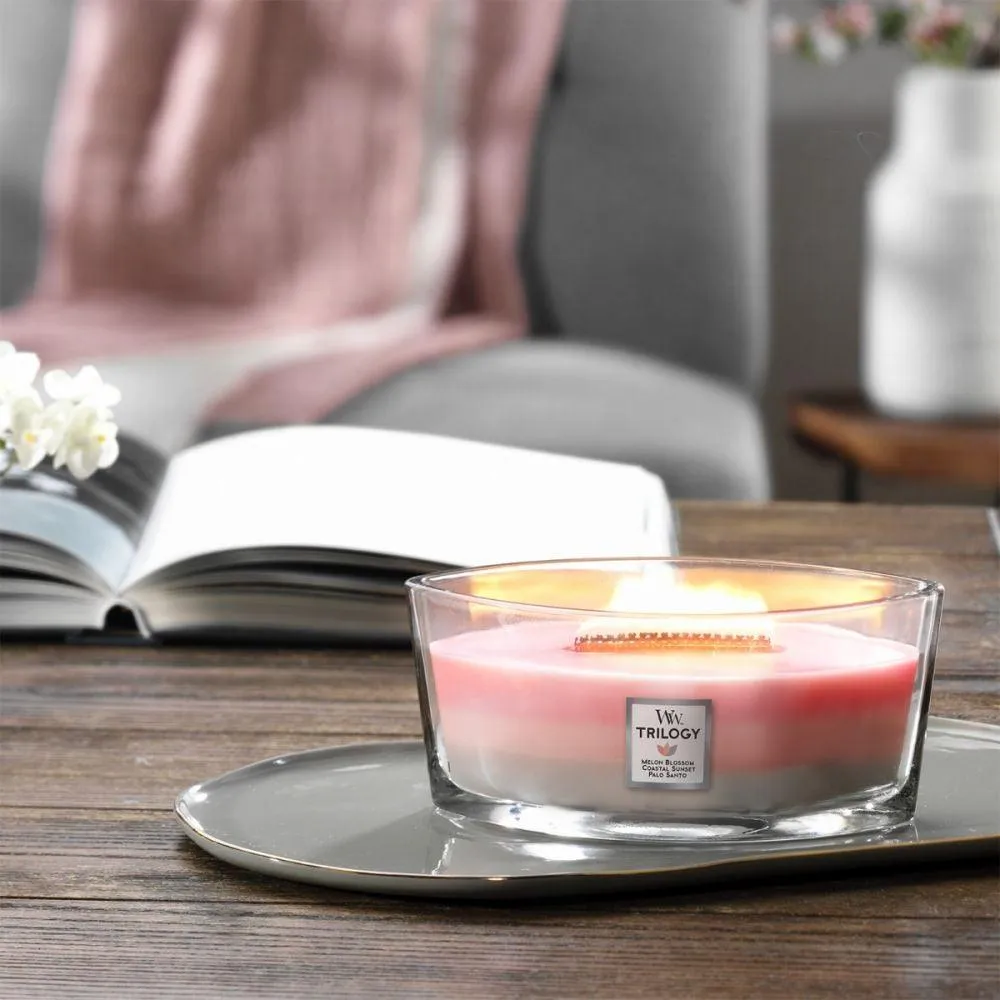 WoodWick Shoreline Trilogy Candle Crackles As It Burns Ellipse Hearthwick