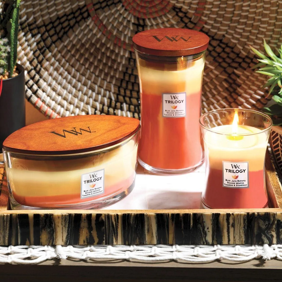 WoodWick Tropical Sunrise Trilogy Candle Crackles As It Burns Ellipse Hearthwick
