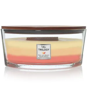 WoodWick Tropical Sunrise Trilogy Candle Crackles As It Burns Ellipse Hearthwick